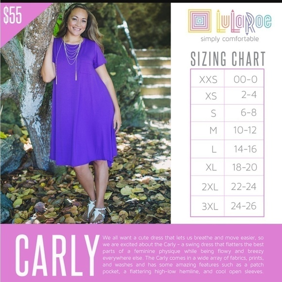 NWT LulaRoe Swing Dress Carly Patch Pocket High Low Hemline Cool Open Sleeve - Picture 7 of 11